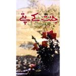 Jannat Ke Pattay by Nimra Ahmed
