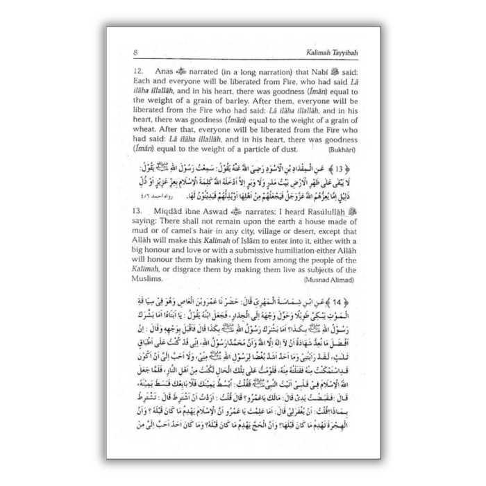 Muntakhab Ahadees English 3