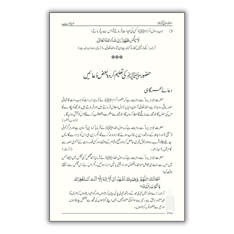 Uswae Rasool E Akram Urdu 2